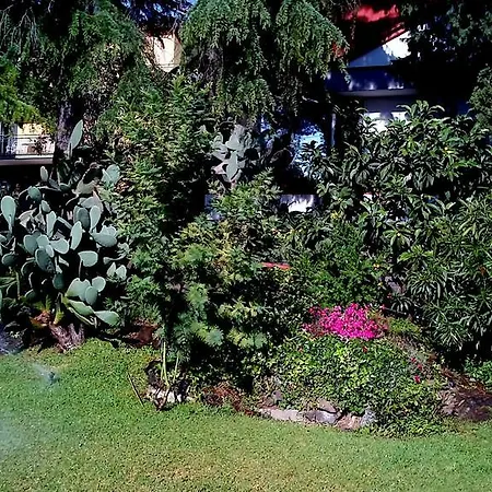 Bed & Breakfast Bed And Breakfast Aloisio 3*