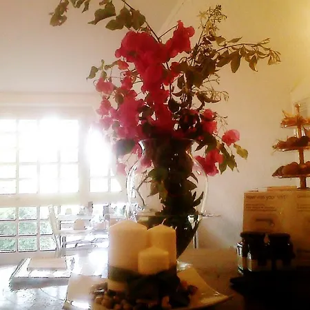 Bed & Breakfast Bed And Breakfast Aloisio