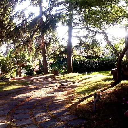 Bed And Breakfast Aloisio