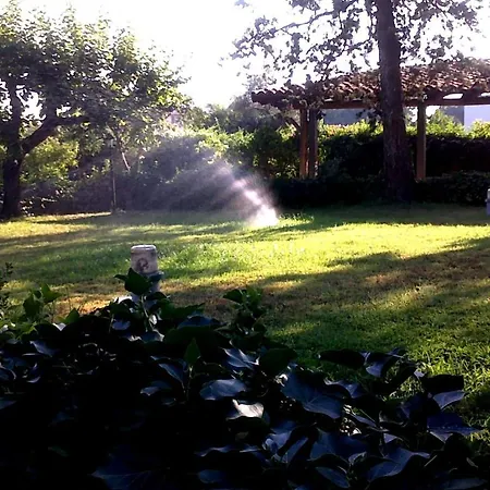 Bed And Breakfast Aloisio Bed & Breakfast San Gregorio di Catania