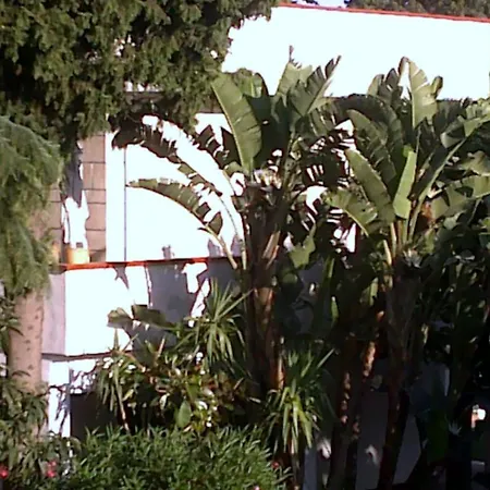 Bed And Breakfast Aloisio 3* San Gregorio di Catania