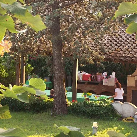 Bed & Breakfast Bed And Breakfast Aloisio