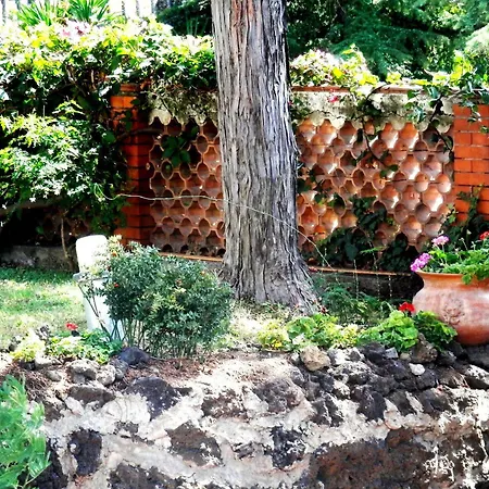 Bed And Breakfast Aloisio 3*